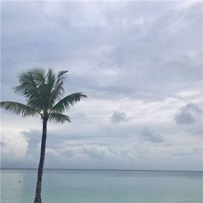 超级战舰中文版下载